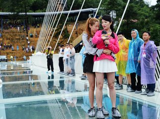 白日放歌须纵酒是什么诗？白日放歌须纵酒诗意是什么？